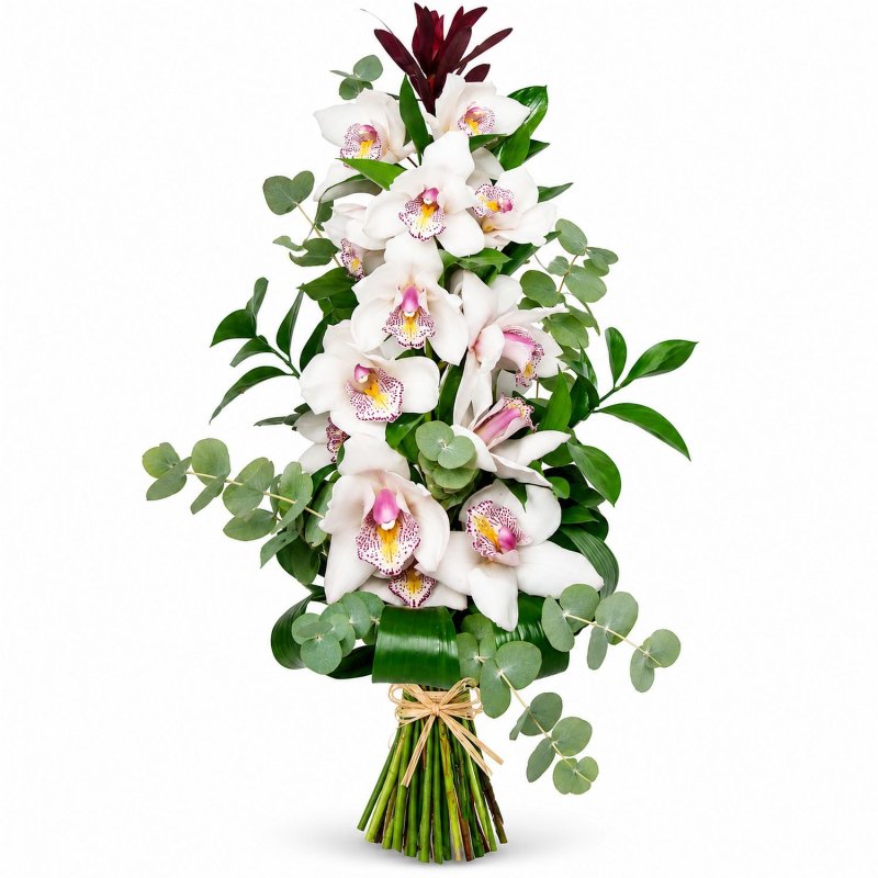 Orchidej a eucalyptus